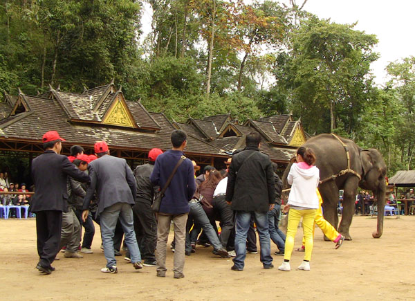 1569745951782042.png 圖片11.png