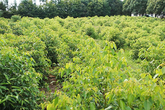 1569812376222992.png 圖片3.png